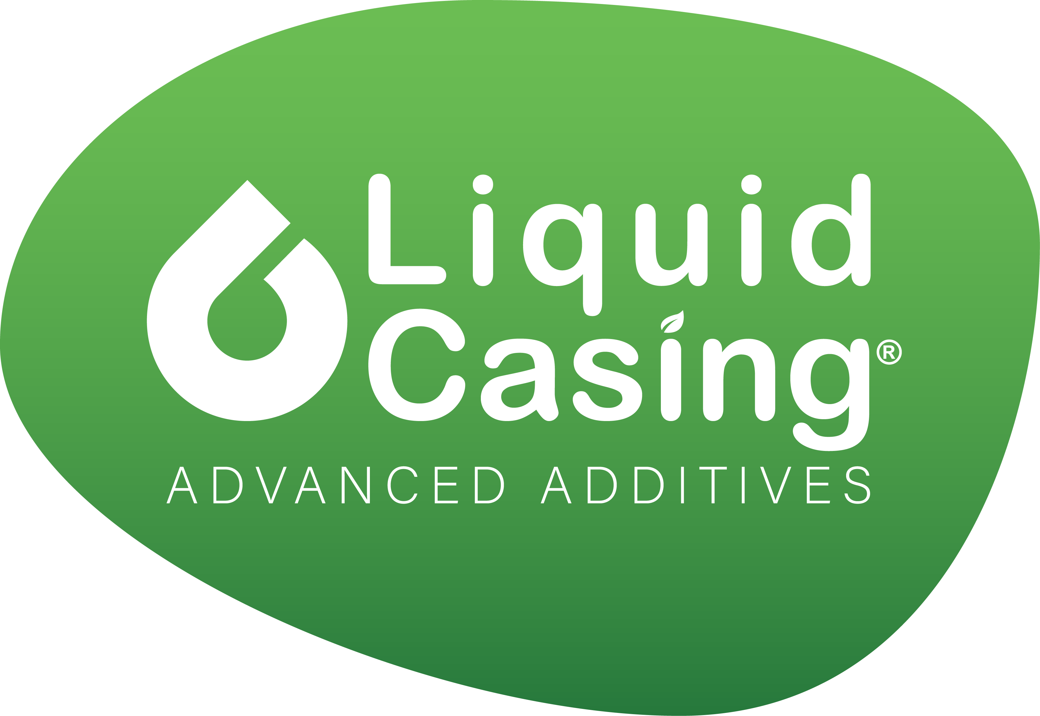 //liquidcasing.com/wp-content/uploads/2023/11/LC_greenlogo_png-1.png